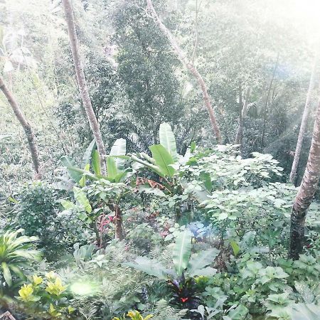 Отель Ubud River Side House Экстерьер фото