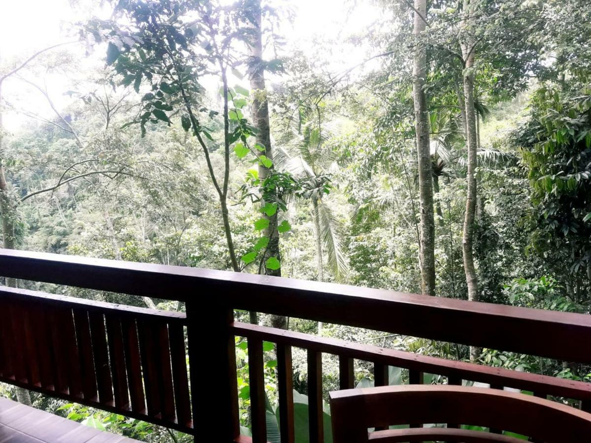 Отель Ubud River Side House Экстерьер фото